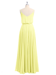Daffodil