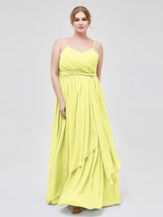 Daffodil