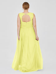 Daffodil