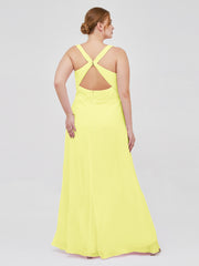Daffodil