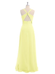 Daffodil