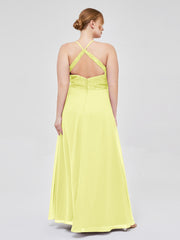 Daffodil