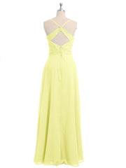 Daffodil