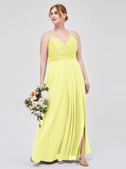 Daffodil